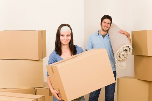 Battersea moving crew loading household items into a removal van
